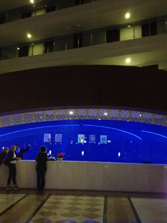 Rezeption Seaden Sea World Resort & Spa