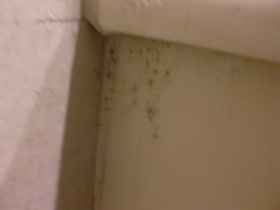 Schimmel Punta Cana Princess All Suites Resort & Spa