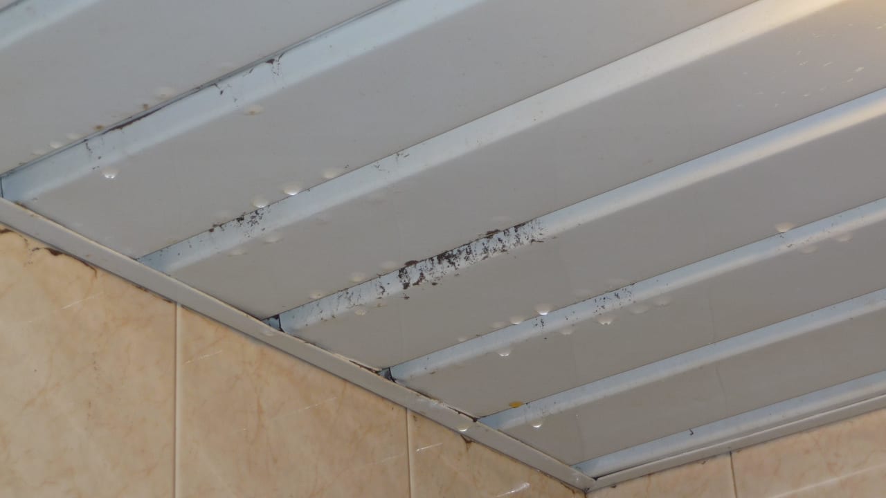 Wassereinbruch (Decke des Badezimmers) Hotel ValleMar