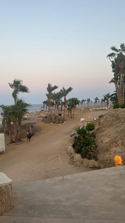 Strand Pickalbatros Citadel Resort