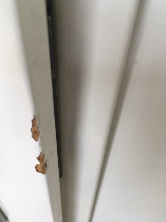 Kaputte Zargen überall Roompot Beach Resort