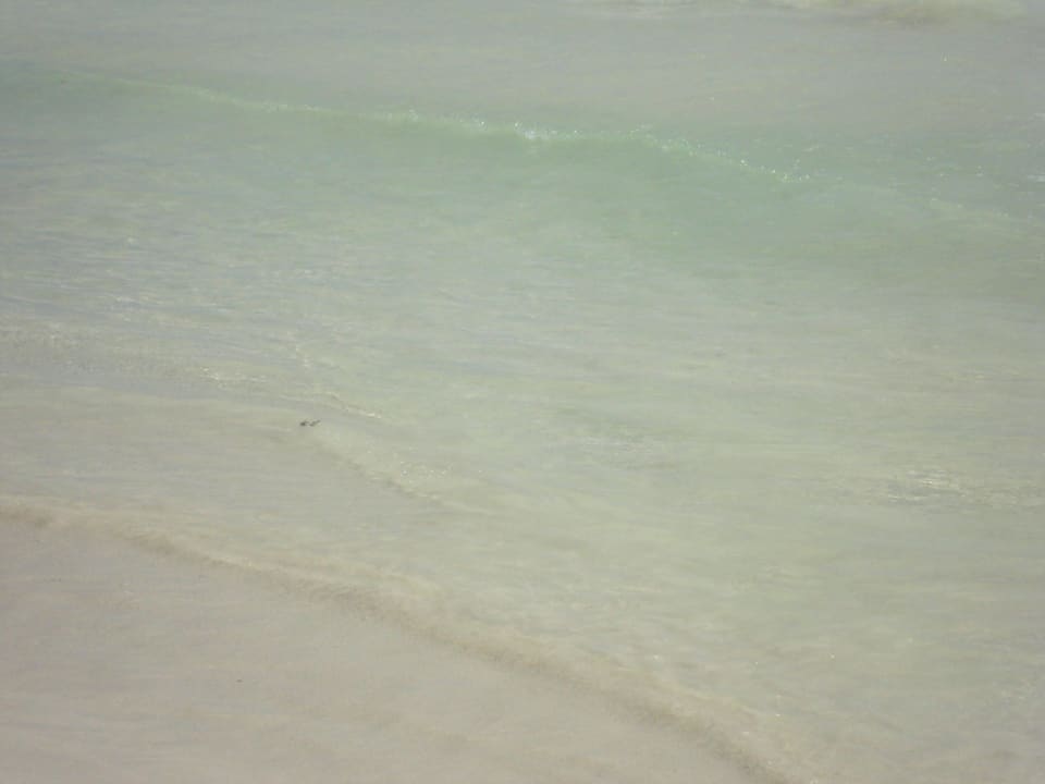 Hotel Catalonia Playa Maroma Catalonia Playa Maroma