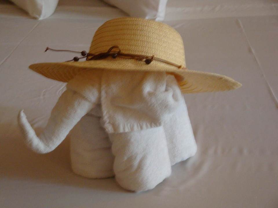 Die Putzfrauen machen sich ein Spässchen Sandos Playacar Beach Resort