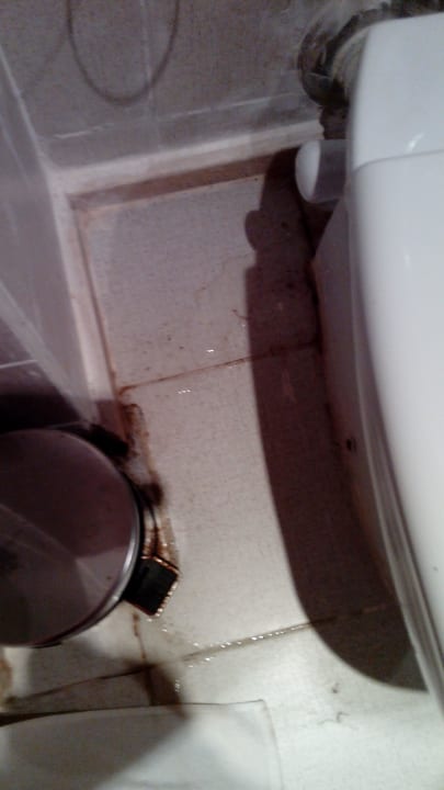 Undichte Toilette; Fäkalgestank Riviera Aqua Park Resort