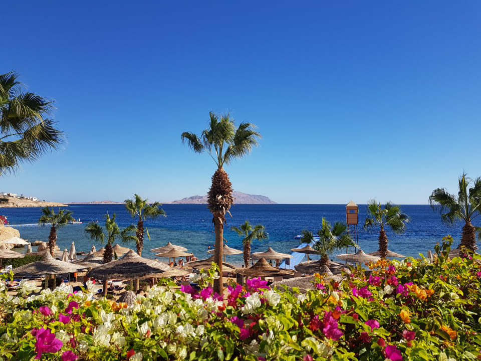 Ausblick Savoy Sharm El Sheikh