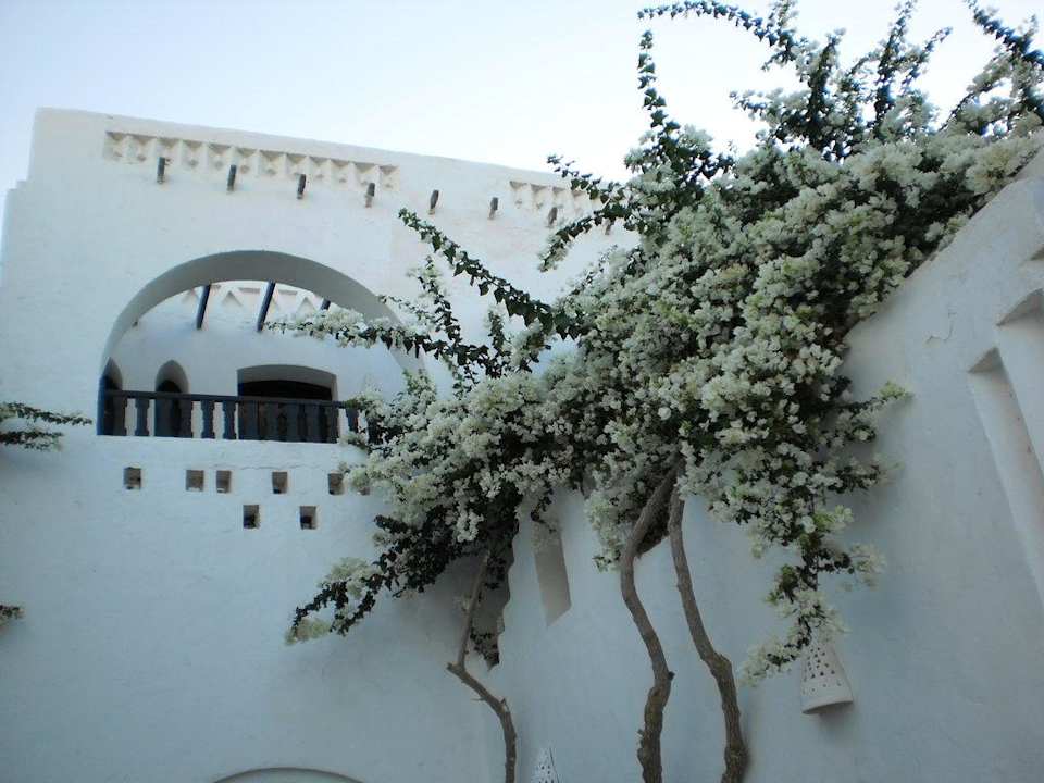 Schöne Bepflanzung Arabella Azur Resort