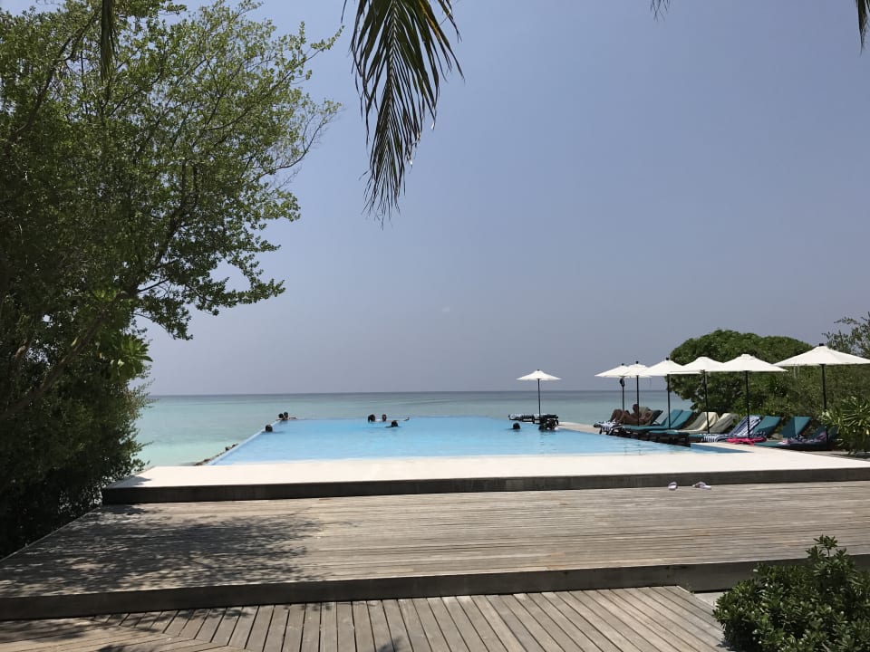 Pool Summer Island Maldives