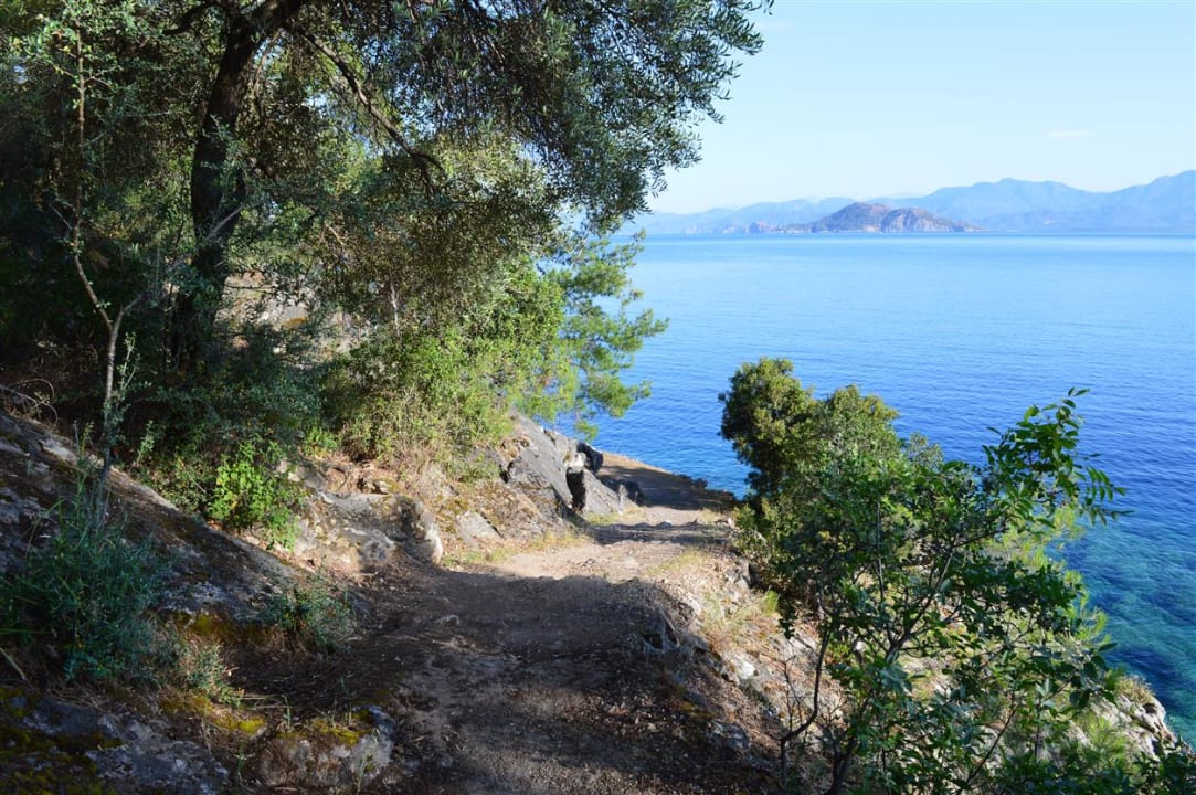 Gartenanlage Hillside Beach Club