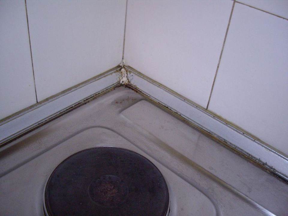 Kochecke Hotel Green Ocean