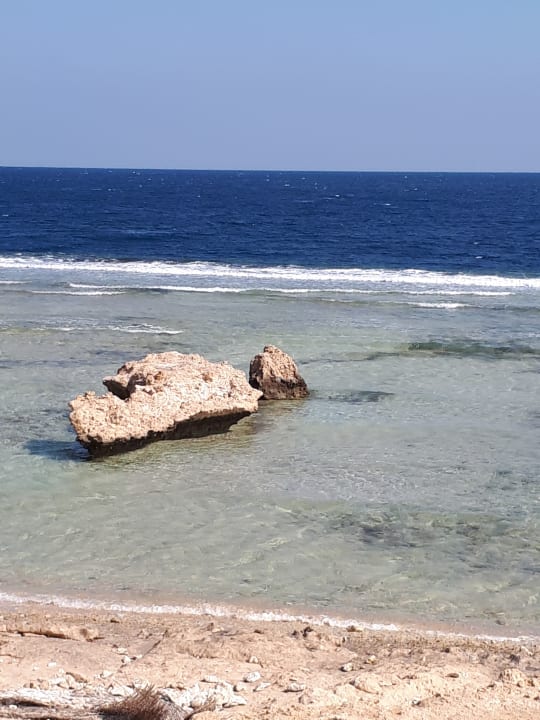 Strand Serenity Alpha Beach