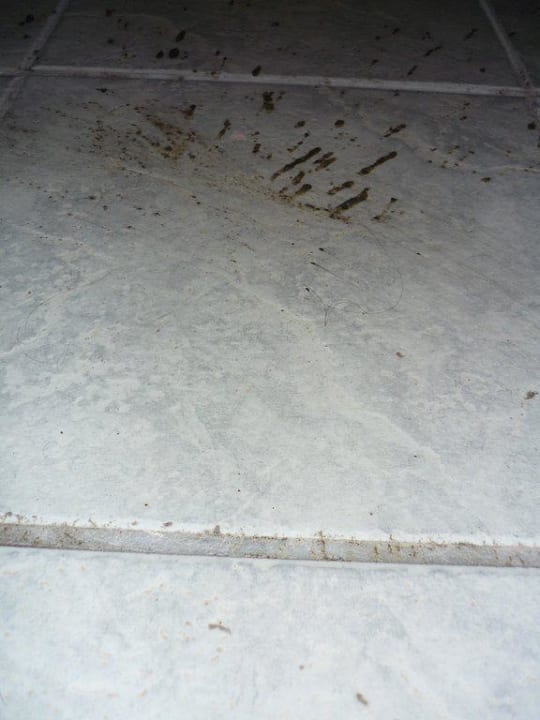 Sauberkeit unter dem Bett Anastasia Beach Hotel