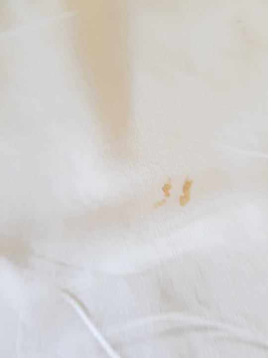 Zimmer Armas Gül Beach