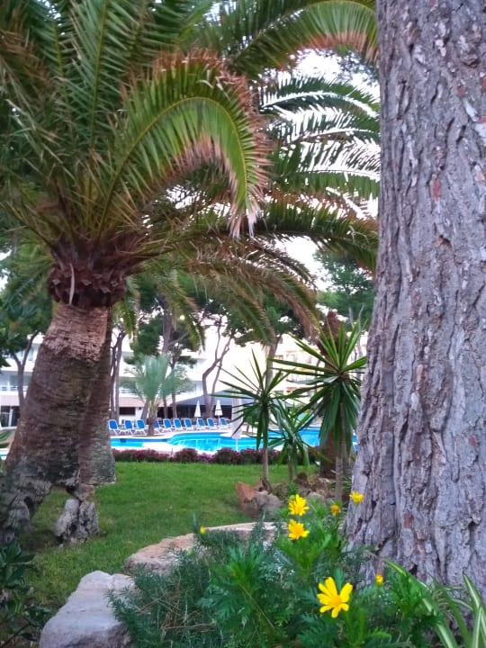 Gartenanlage Hotel & Spa S'Entrador Playa