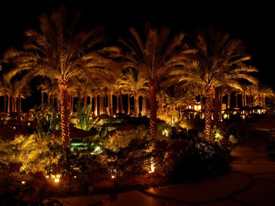 Aussicht vom Balkon unserer Juniorsuite 1105 Grand Makadi