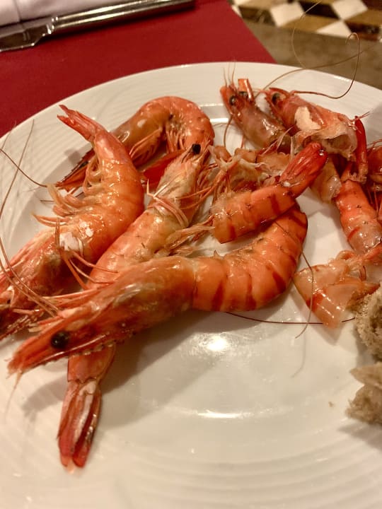 Gastro Sentido Trendy Verbena Beach