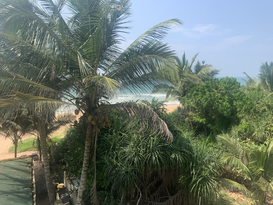 Ausblick Hotel Bentota Village