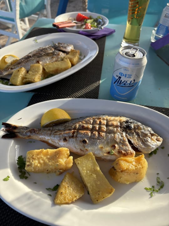 Gastro Yiannis Retreat