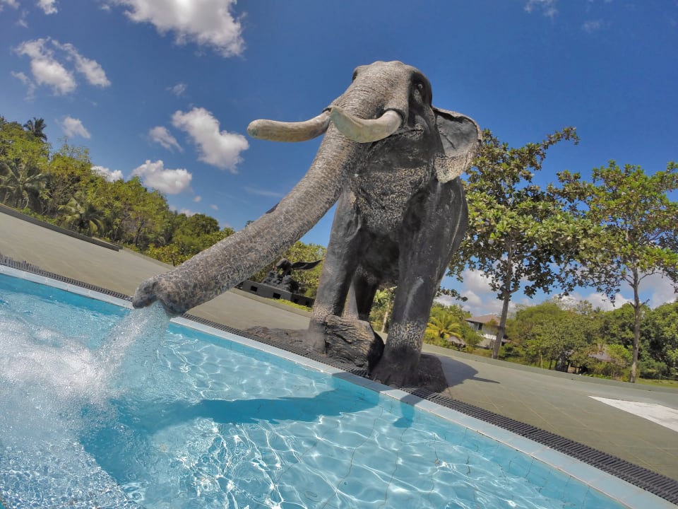 Pool Ayurveda Paradise Maho