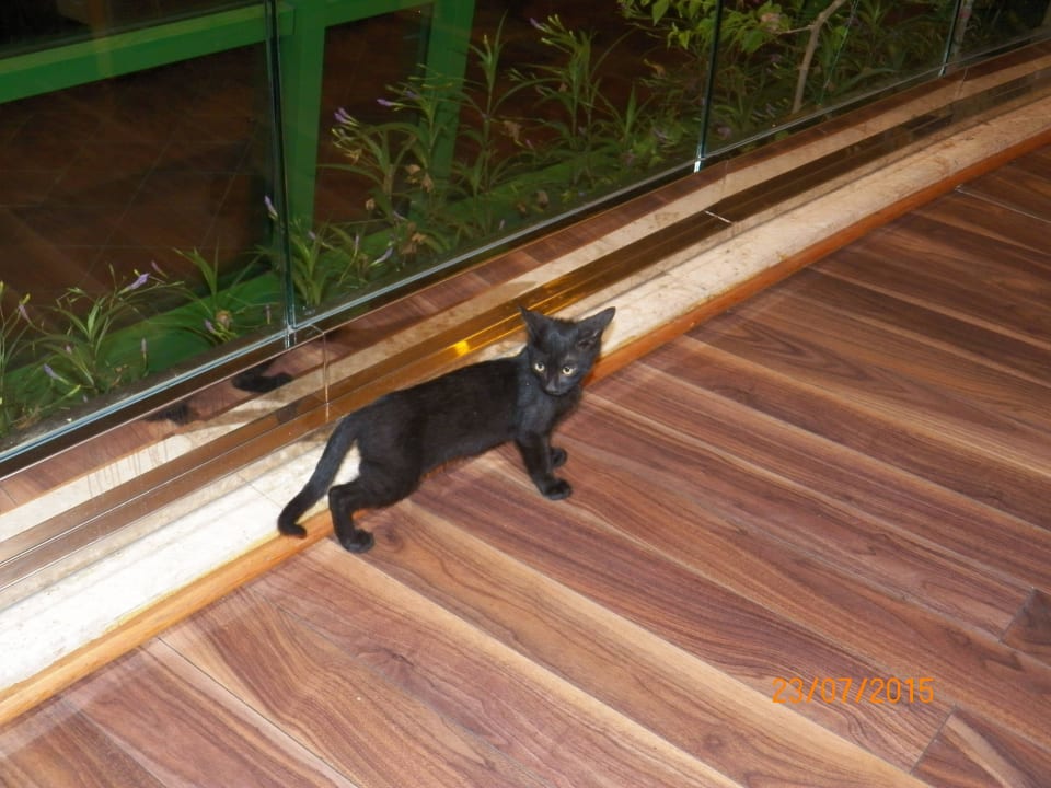 VON Resort Golden Coast VONRESORT Golden Coast