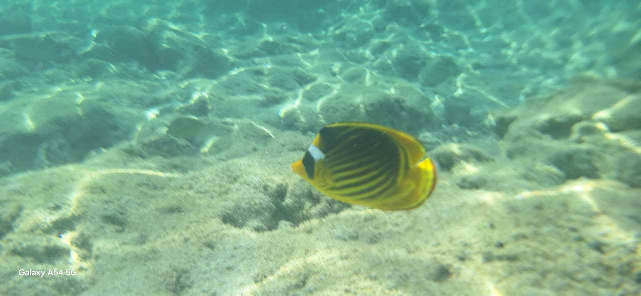 Strand Three Corners Sea Beach Resort