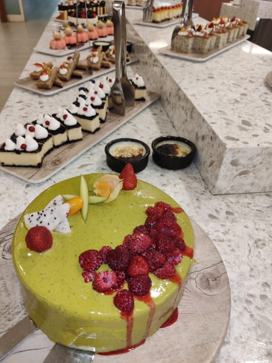 Gastro Paloma Oceana