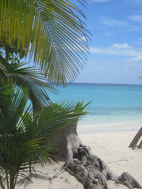 Strand Lagunen Seite Kuramathi Maldives