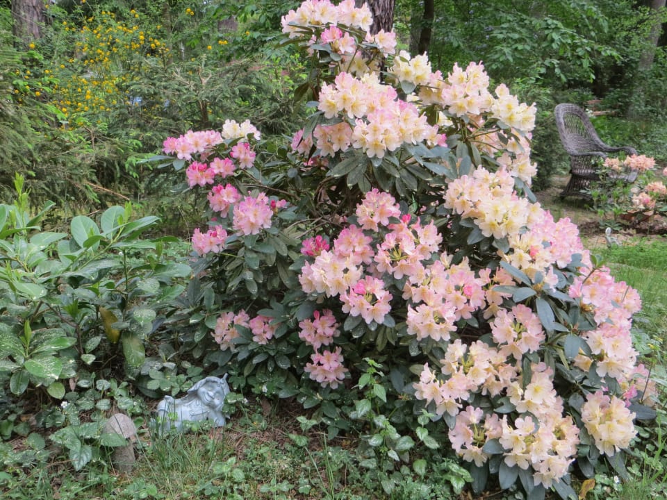 Gartenanlage Kastavengrund - Ferienhaus Nigella