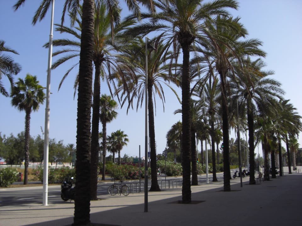 Straße vor dem Hotel Eurohotel Diagonal Port