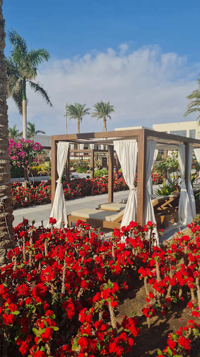 Pool Steigenberger Resort Ras Soma