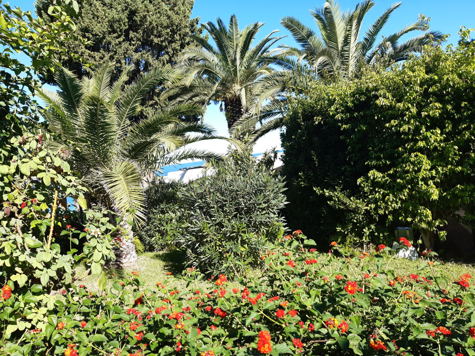 Ausblick Aldiana Club Rocca Nettuno Calabria