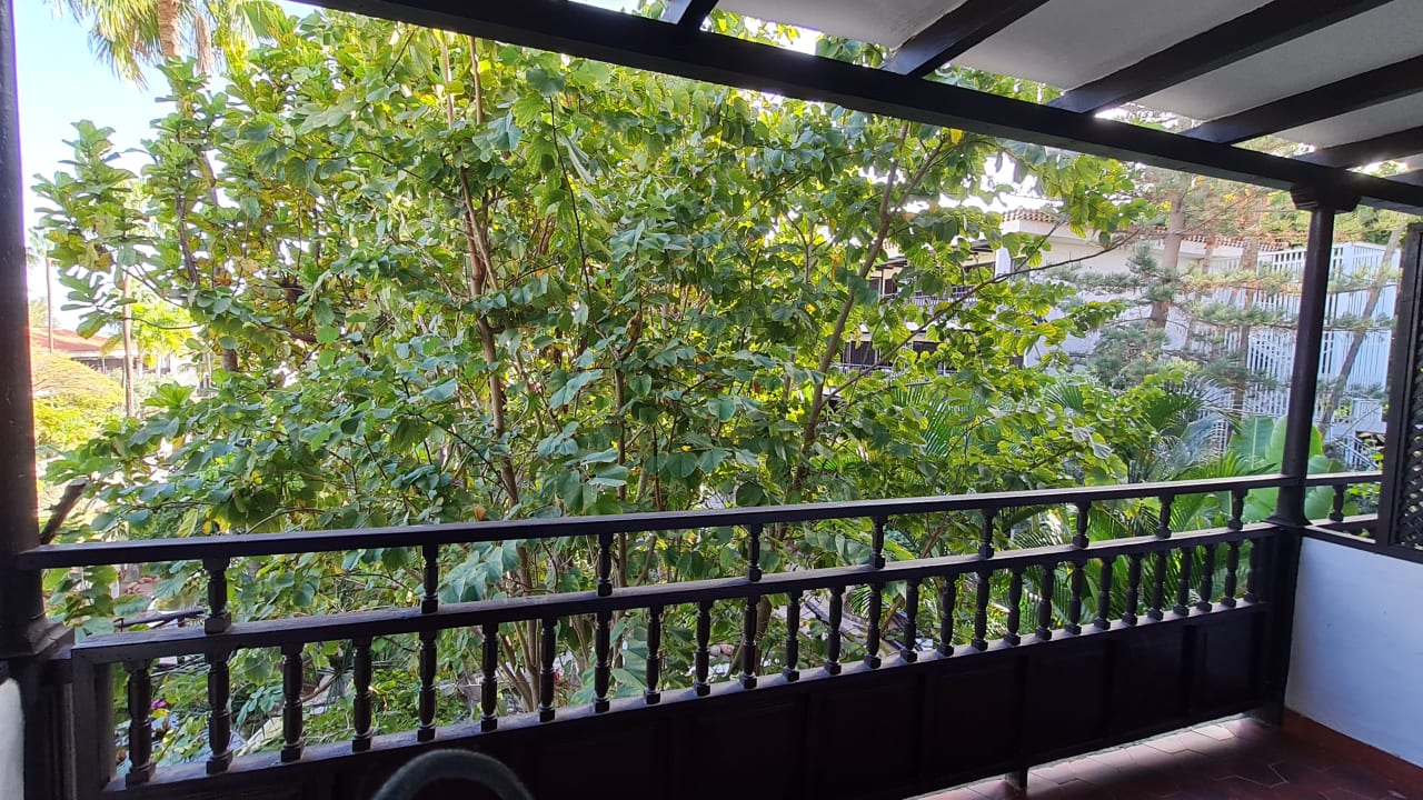 Zimmer Hotel Parque Tropical