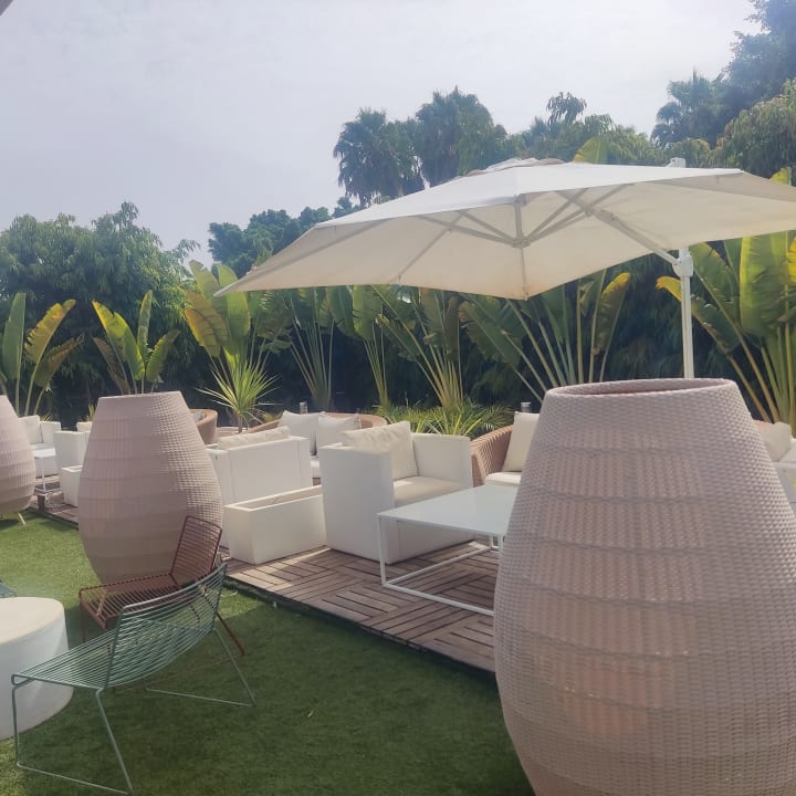 Gastro Canary Garden Club