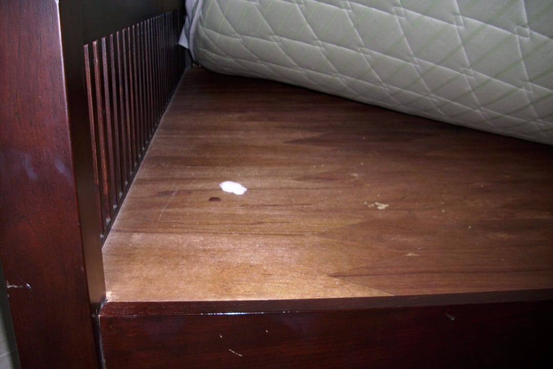 Untermieter im Bett Hotel Ambiente Palace