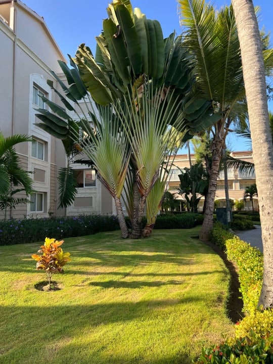 Gartenanlage Grand Palladium Select Bávaro Resort & Spa