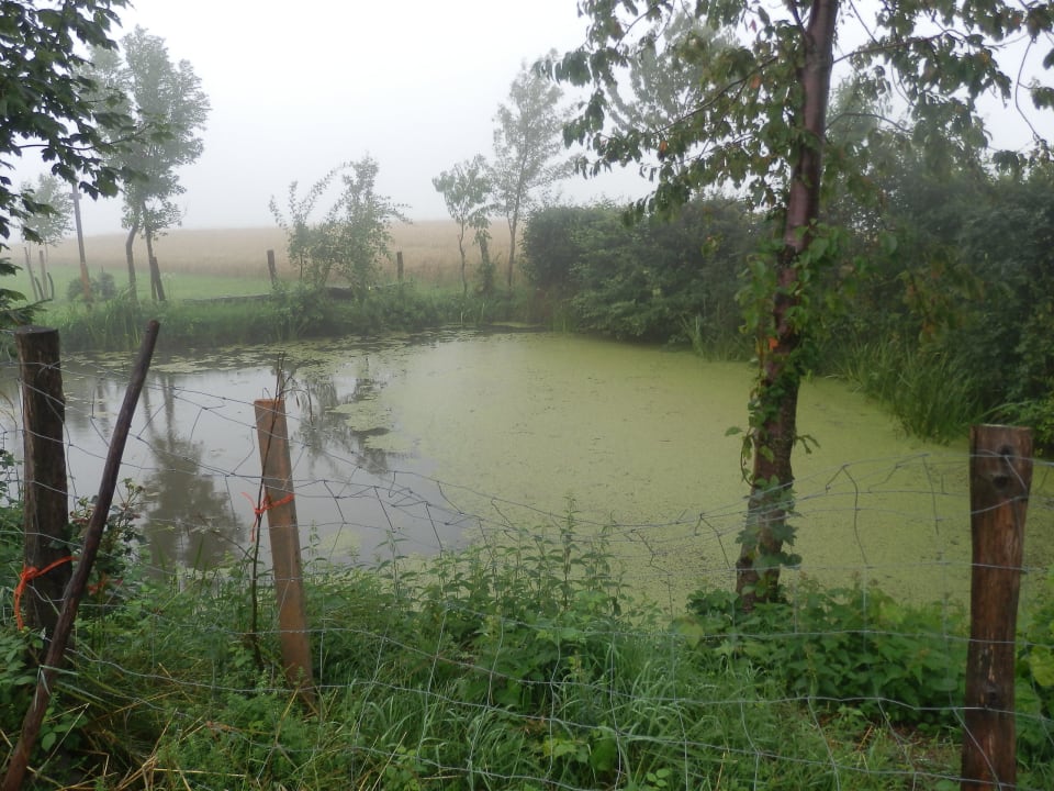 Der kleine Teich  Hotel Hochhubergut