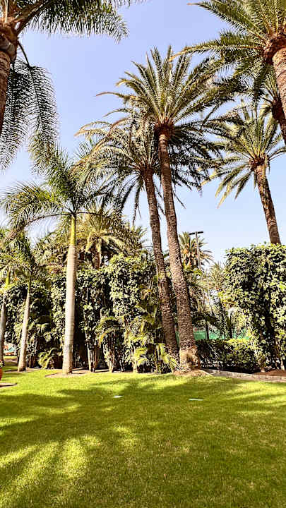 Gartenanlage Seaside Hotel Palm Beach