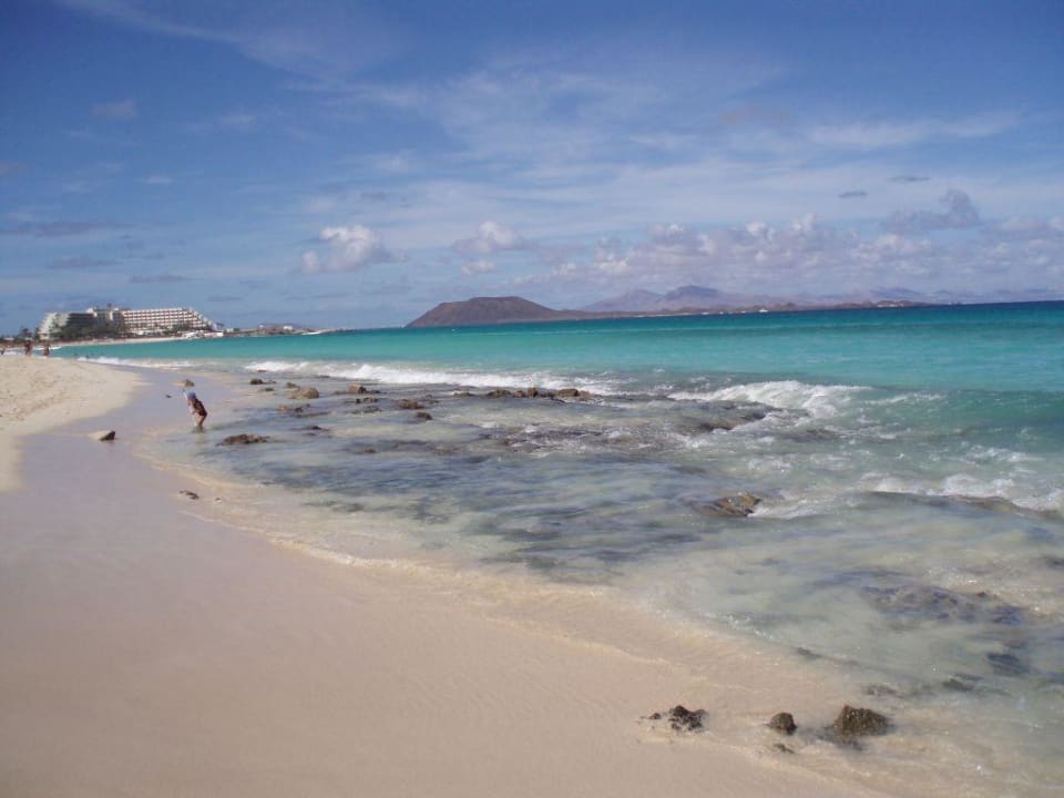 Traumhafter Strand Hotel Riu Oliva Beach Resort