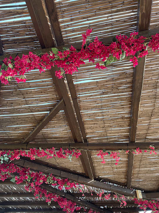 Gartenanlage Hotel Kalithea Horizon Royal