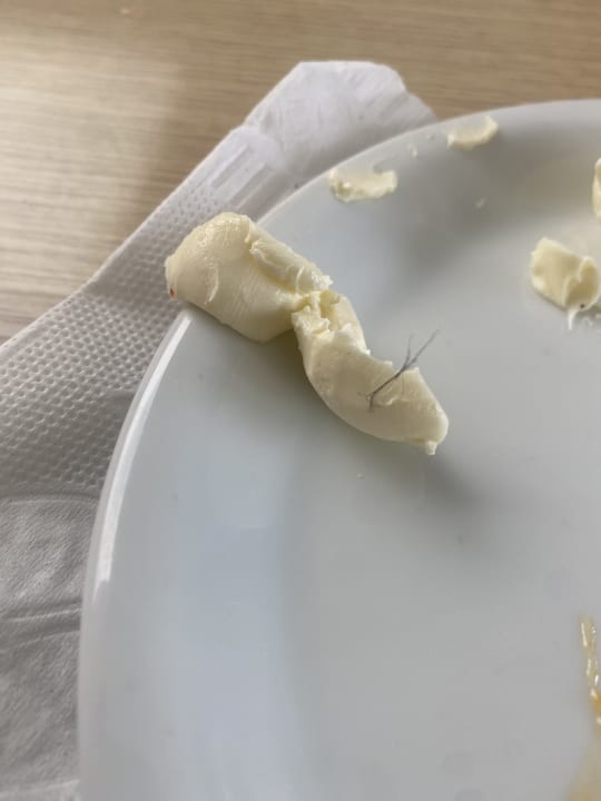 Gastro Houda Golf & Beach Club