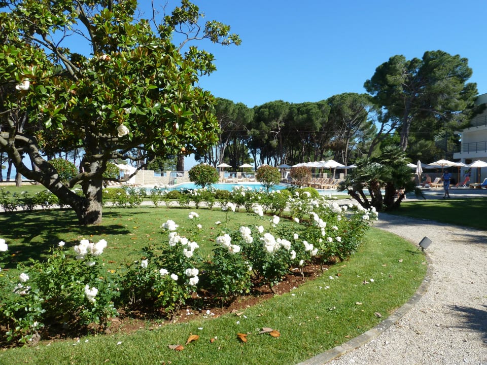 Herrliche Parkanlage Falkensteiner Hotel Adriana