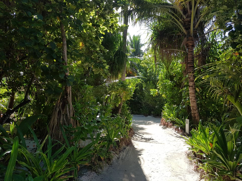 Der Weg zum Restaurant ROBINSON MALDIVES
