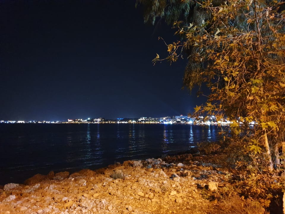 Strand Can Garden Beach