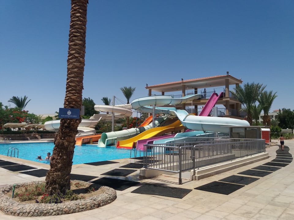 Sport & Freizeit Desert Rose