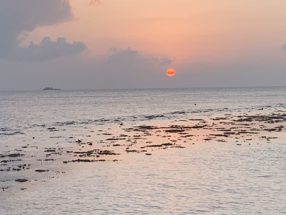 Ausblick Safari Island Maldives