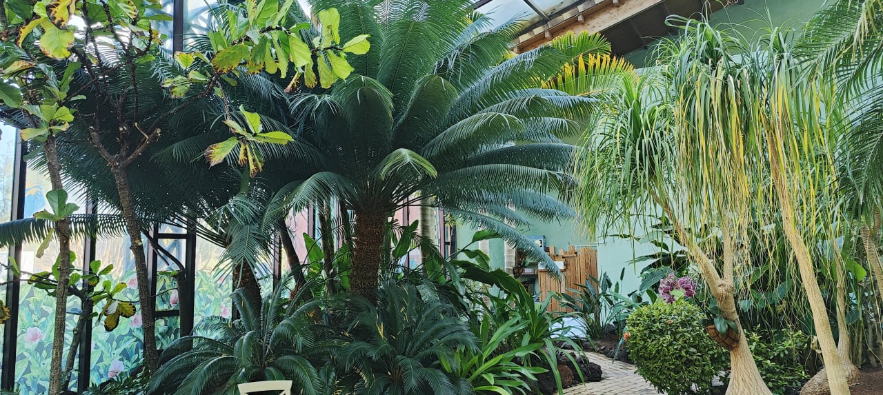 Gartenanlage R2 Rio Calma Hotel & Spa & Conference