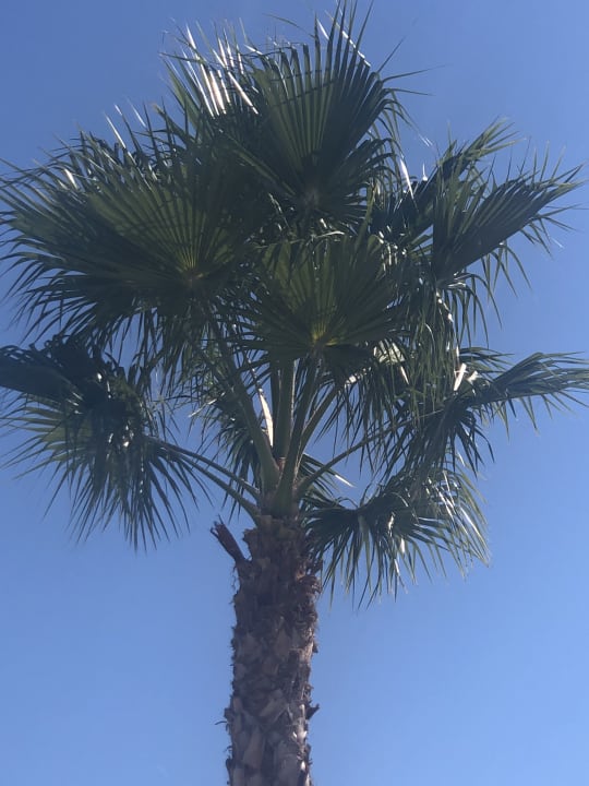 Sonstiges Dream World Aqua Hotel