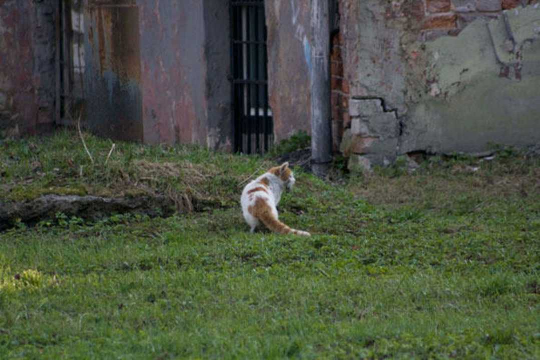Blick aus dem Fenster Hotel Riverside