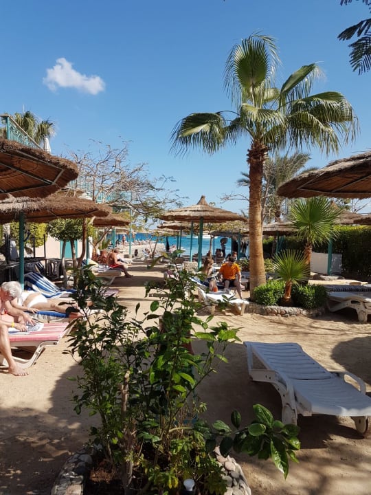 Blick vom Strand auf das Meer Bella Vista Resort Hurghada
