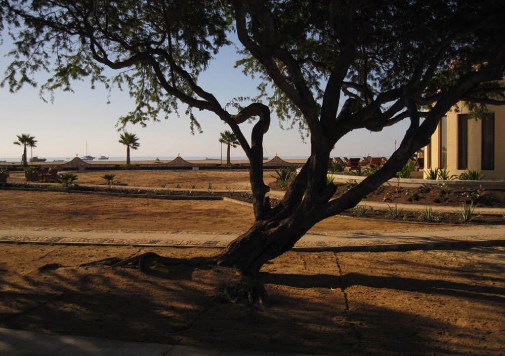 Ausblick Hochparterre-Zimmer Hotel Morabeza