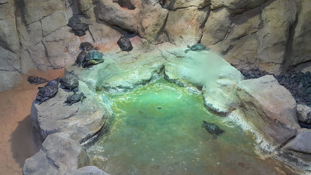 Zoo Hotel Emirates Park Resort